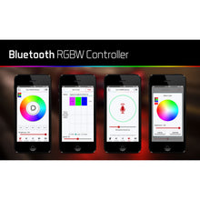 Load image into Gallery viewer, ~(0.5-Lbs.-6X6x1)~-Bluetooth-Rgbw-M8-Controller-1Ch-Diode-Dynamics