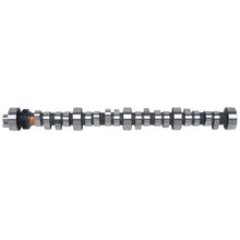 Load image into Gallery viewer, Edelbrock 2221 Rollinâ€™ Thunder Camshaft for Big-Block Ford 289-302 V8 for Select AC Shelby Cobra, Bricklin SV-1, DeTomaso Mangusta, DeTomaso Pantera, Ford 300, Ford Bronco, Ford Country Sedan, Ford Country Squire, Ford Custom, Ford Custom 500, Ford