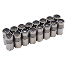 Load image into Gallery viewer, Edelbrock 9705 Performer RPM Hydraulic Flat Tappet Lifters for Select Ford Bronco, Ford Country Sedan, Ford Country Squire, Ford Custom, Ford Custom 500, Ford E-250 Econoline, Ford E-250 Econoline Club Wagon, Ford E-350 Econoline, Ford E-350 Econoline