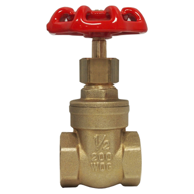 Fairview 217-B Gate Valve 1/4 Female NPT