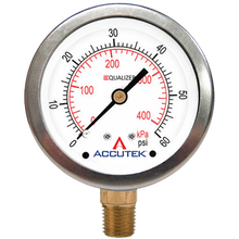Load image into Gallery viewer, Fairview PG-300ZRSD25 0-300PSI Equalizer Gauge 2.5In Face 1/4 Male NPT Stem