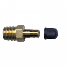 Load image into Gallery viewer, Fairview BTV-B Tire Valve X 1/4 Male NPT