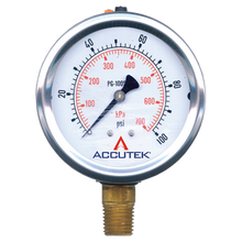 Load image into Gallery viewer, Fairview PG-300SG25 0-300PSI Liquid Gauge - 2.5in Face - 1/4 MPT Stem