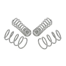 Load image into Gallery viewer, 05-14-Ford-Mustang-Gt-S197-Performance-Lowering-Springs