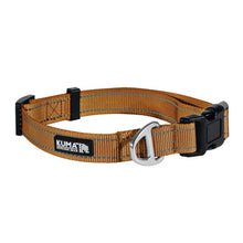 Load image into Gallery viewer, KUMA 703-KM-LBCL-SB-L Lazy Bear Dog Collar - Large - 20-26"  - Sierra