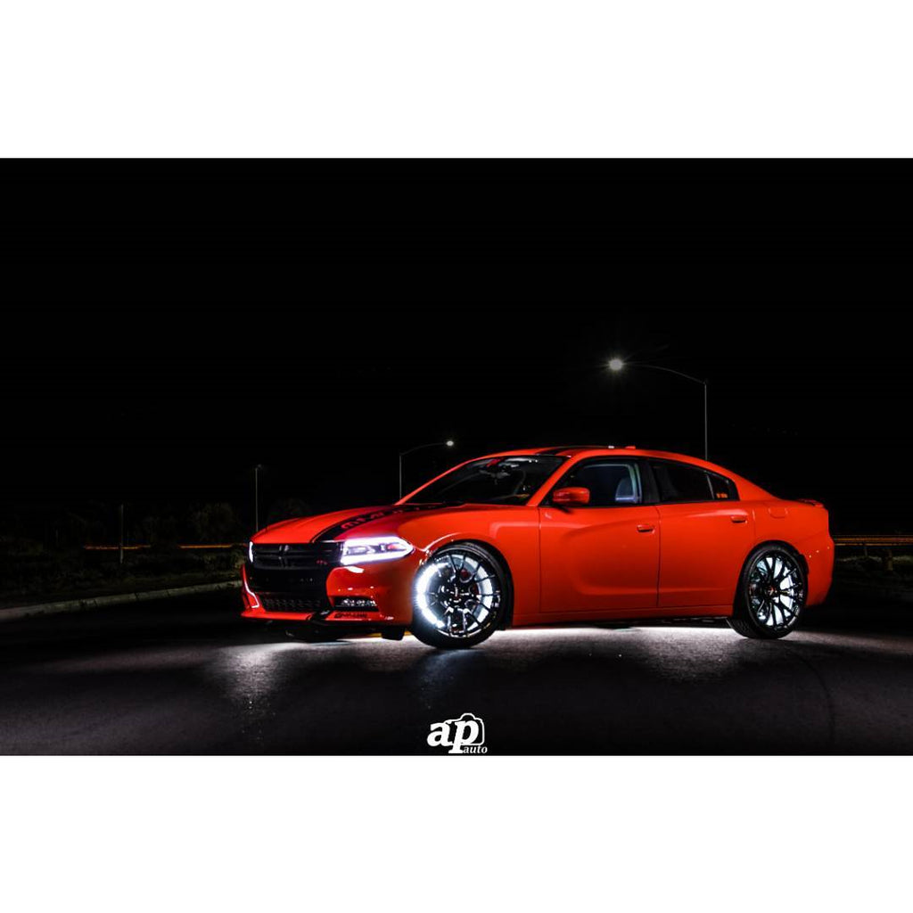 ~(1-Lbs.-16X16x6)~-Oracle-Led-Illuminated-Wheel-Rings---White