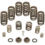 BD Diesel 1040185 Governor Spring Kit, 4000rpm - 1994-1998 Dodge 12-valve/P7100 Pump