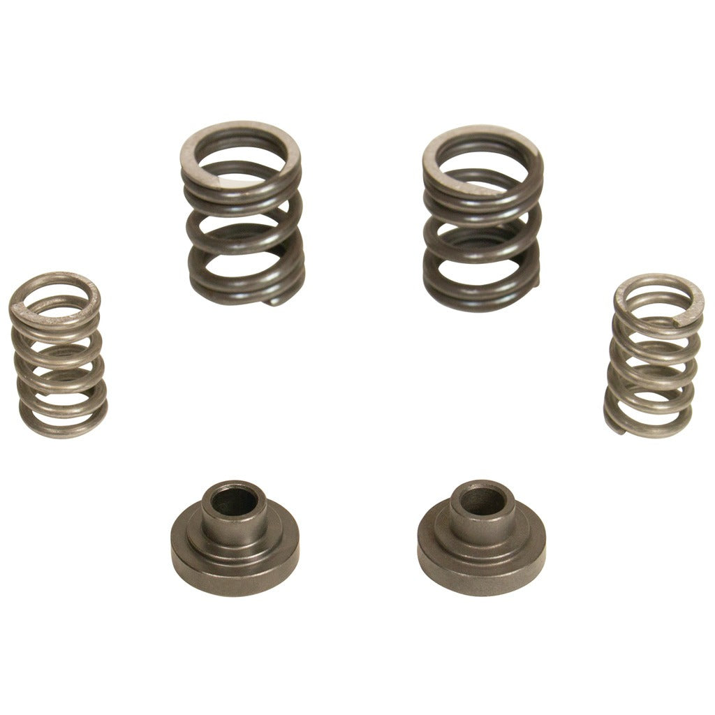 BD Diesel 1040187 BD 5.9L Cummins Governor Springs P7100 Pump 3000RPM Dodge 1994-1998 12-valve for Select Dodge Ram 2500, Dodge Ram