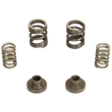 Load image into Gallery viewer, BD Diesel 1040187 BD 5.9L Cummins Governor Springs P7100 Pump 3000RPM Dodge 1994-1998 12-valve for Select Dodge Ram 2500, Dodge Ram