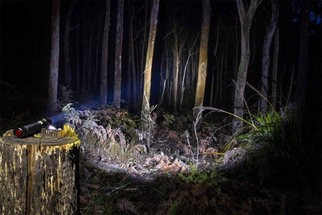 ARB 10500070 Pureview 800 Flashlight