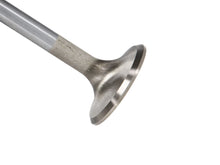 Load image into Gallery viewer, Manley-Valve---Exhaust,-Valve-Sbc-SM-1.560