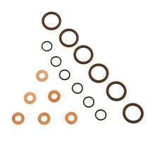 Load image into Gallery viewer, BD Diesel 1075800 BD 5.9L Cummins Injector Seal Kit Dodge 1998.5-2002 24-valve for Select Dodge Ram 2500, Dodge Ram