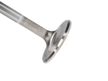 Load image into Gallery viewer, Manley-Valve---Exhaust,-Valve-Sbc-SF-1.600