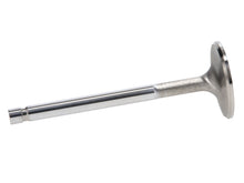Load image into Gallery viewer, Manley-Valve---Exhaust,-Valve-Sbc-SF-1.600