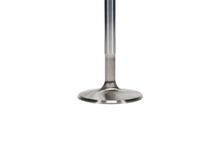 Load image into Gallery viewer, Manley-Valve---Intake,-Valve-Sbc-SF-2.020