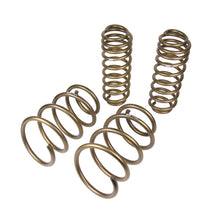 Load image into Gallery viewer, 1114-Mustang-Gt-Spring-Kit-Stage-1