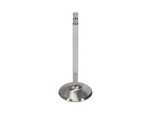 Load image into Gallery viewer, Manley-Valve---Intake,-Valve-RM-Vq35de(T)-37Mm