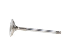 Load image into Gallery viewer, Manley-Valve---Exhaust,-Valve-RM-Vq35de(T)-31.5Mm