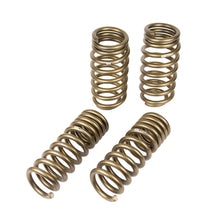 Load image into Gallery viewer, 1116-Challenger-RT-Spring-Kit-Stage-1