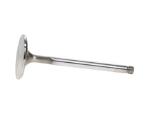 Load image into Gallery viewer, Manley-Valve---Intake,-Valve-RF-Toyota-1Fz-Fe-38.0Mm