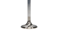 Load image into Gallery viewer, Manley-Valve---Exhaust,-Valve-SD-1.600,.100