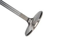 Load image into Gallery viewer, Manley-Valve---Intake,-Valve-SD-1.940,.100