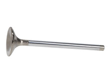 Load image into Gallery viewer, Manley-Valve---Exhaust,-Valve-Gen-Ii-1.625
