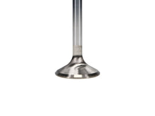 Load image into Gallery viewer, Manley-Valve---Exhaust,-Valve-Gen-Ii-1.625