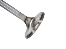 Load image into Gallery viewer, Manley-Valve---Exhaust,-Valve-RM-1.600,.100