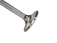 Load image into Gallery viewer, Manley-Valve---Exhaust,-Valve-409-RM-1.735