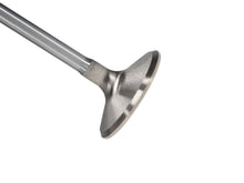 Load image into Gallery viewer, Manley-Valve---Exhaust,-Valve-Hemi-RM-1.900
