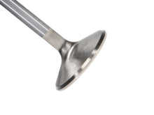 Load image into Gallery viewer, Manley-Valve---Exhaust,-Valve-Pont-RM-1.660