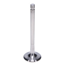 Load image into Gallery viewer, Manley-Valve---Exhaust,-Valve-Ti-1.600,.200