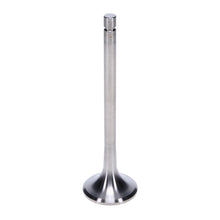 Load image into Gallery viewer, Manley-Valve---Exhaust,-Valve-Ti-1.600,.200