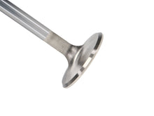 Load image into Gallery viewer, Manley-Valve---Exhaust,-Valve-330-455-1.710
