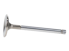 Load image into Gallery viewer, Manley-Valve---Exhaust,-Valve-330-455-1.710