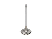 Load image into Gallery viewer, Manley-Valve---Exhaust,-Valve-330-455-1.710