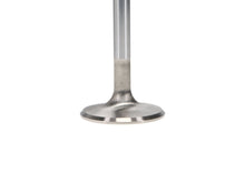Load image into Gallery viewer, Manley-Valve---Exhaust,-Valve-330-455-1.710