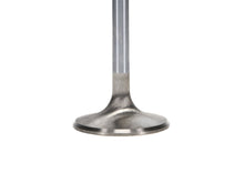 Load image into Gallery viewer, Manley-Valve---Exhaust,-Valve-Sbc-SD-1.600