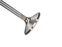 Load image into Gallery viewer, Manley-Valve---Exhaust,-Valve-Bbc-Pont-1.940
