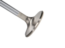 Load image into Gallery viewer, Manley-Valve---Exhaust,-Valve-Bbc-Pont-SD-2.325