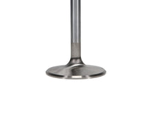 Load image into Gallery viewer, Manley-Valve---Intake,-Valve-Sbc-SD-2.055