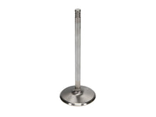 Load image into Gallery viewer, Manley-Valve---Intake,-Valve-Fd-6.2L-RM-53.5Mm