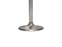Load image into Gallery viewer, Manley-Valve---Intake,-Valve-Fd-6.2L-RM-53.5Mm