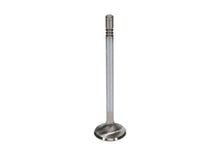Load image into Gallery viewer, Manley-Ford-4.6L-Dohc-(4-Valve)-Triple-Groove-30Mm-Race-Master-Exhaust-Valve-Single-Valve