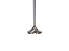 Load image into Gallery viewer, Manley-Ford-4.6L-Dohc-(4-Valve)-Triple-Groove-30Mm-Race-Master-Exhaust-Valve-Single-Valve