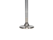 Load image into Gallery viewer, Manley-Valve---Intake,-Valve-Fd-Mod-RM-37Mm