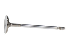 Load image into Gallery viewer, Manley-Ford-4.6L-34Mm-Diameter-117.35Mm-Length-Race-Master-Exhaust-Valves-(Set-Of-8)
