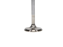 Load image into Gallery viewer, Manley-Ford-4.6L-34Mm-Diameter-117.35Mm-Length-Race-Master-Exhaust-Valves-(Set-Of-8)