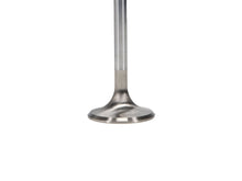Load image into Gallery viewer, Manley-Valve---Exhaust,-Valve-Fd-Mod-RM-36Mm